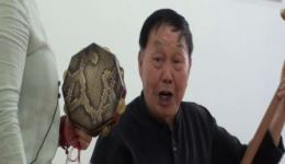 观花灯