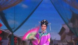 罗卷戏《南阳关》媒婆说媒片段在线观看，经典戏曲资源高清下载