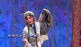 淮剧《秦香莲-自那日》顾芯瑜演唱选段,经典戏曲片段在线下载 淮剧《秦香莲-自那日》顾芯瑜演唱选段,经典戏曲片段在线下载