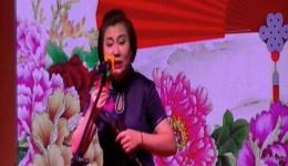 探晴雯