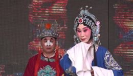 河北梆子《牙痕记》第三场保定市百花河北梆子剧团经典演出，在线观看下载