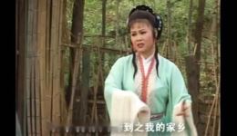 庐剧《调包》宽屏版上集下载 - 经典喜剧戏曲资源在线获取