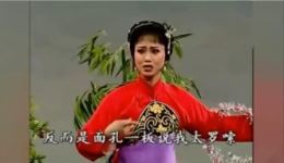 锡剧传统对子戏《吃面条》在线观看下载,周东亮董云华名家演唱高清资源 锡剧传统对子戏《吃面条》在线观看下载,周东亮董云华名家演唱高清资源