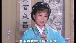 崔莺莺待月西厢记