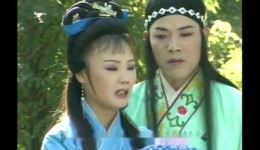 庐剧《苦菜花》宽屏版3全集下载｜盛小五夏巧云主演，经典抗战戏曲高清资源下载