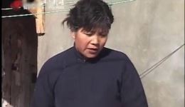 民间小调《新媳妇搬兵》上集免费资源，戏曲下载必看