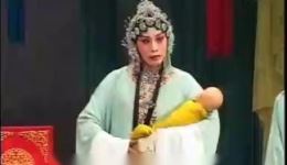 晋剧经典《芦花》孙红丽倾情演唱，丁派韵味十足，孝道主题感人至深下载