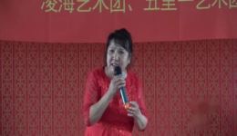 评剧《春色脑人柳垂青》张淑玉演唱 经典唱段在线收听