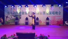 潮剧《让天下百姓常开颜》陈奕双陈燕卿演唱 经典潮剧选段在线下载 潮剧《让天下百姓常开颜》陈奕双陈燕卿演唱 经典潮剧选段在线下载