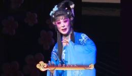 晋剧《百家戏苑》名家演唱会资源下载，经典戏曲演出在线观看