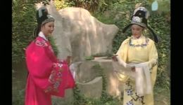 庐剧《梁山伯与祝英台》宽屏选段版下载 - 戴黎明李立存经典演绎下载