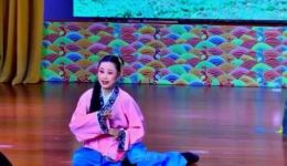 庐剧《少年周公瑾》神童虎威高清下载｜周建梅王佳佳主演少年英才故事