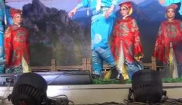 婺剧《青松宝图》全场演出资源下载，李燕美精彩演绎不容错过