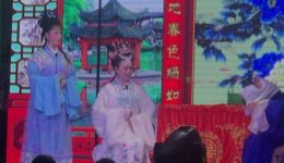 宁都采茶戏《白蛇传劝许》高清资源下载,经典戏曲完整呈现 宁都采茶戏《白蛇传劝许》高清资源下载,经典戏曲完整呈现