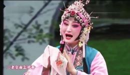 秦腔经典选段《花亭相会》李小锋张雅琴联袂演绎，宋韵悲欢与团圆传奇在线畅享下载