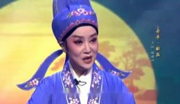 越剧《牡丹亭·醉画》廖琪瑛精彩演唱，扮相俊美唱腔动人，经典片段在线下载