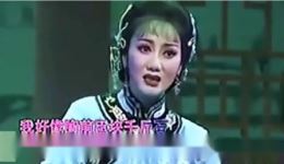 拔兰花 东方日出