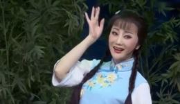 紫砂梦