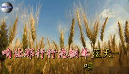 豫剧《焦裕禄》选段 贾文龙深情演唱 一片真情似春暖 经典戏曲在线下载 豫剧《焦裕禄》选段 贾文龙深情演唱 一片真情似春暖 经典戏曲在线下载