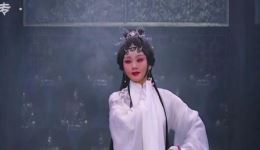 粤剧《白蛇传·情》在线观看_曾小敏文汝清主演_高清全场版下载下载
