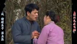 庐剧现代戏《借腹生子》选段吴南野、刘长芳、昂小红精彩演唱，经典伦理剧情在线看下载