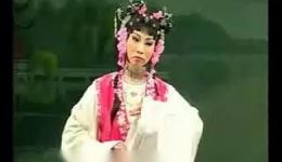 评剧《梅香》全剧下载 - 花淑兰艳铭杰主演经典评剧资源