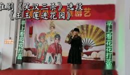淮剧《吴汉三杀》选段《王玉莲进花园》高清下载 - 陈亚琴经典演绎
