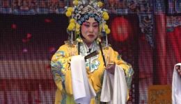 晋剧经典《打金枝》下集资源下载，山西省鑫龙晋剧院倾情演绎宫廷大戏