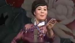 河南坠子《大老薛开店》李爱红演唱，经典曲艺作品在线下载