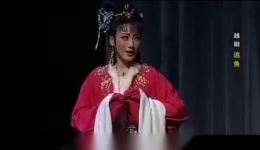 郑国凤王志萍越剧《追鱼 露真》经典片段在线下载，正宗越剧演绎下载