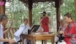 淮剧《秦雪梅吊孝·哭灵》选段 金志香演唱 经典戏曲资源在线下载