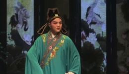 黄梅戏经典《罗帕记》在线观看下载，程丞曹祝来演绎夫妻离合，剧情跌宕超精彩下载