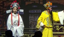 越剧经典《打金枝》第五场劝和完整版下载，范瑞娟等名家演绎，传统戏曲在线畅听下载