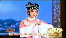 黄梅戏《女驸马·春风送暖》选段下载,吴亚玲经典演绎,纯正黄梅韵味 黄梅戏《女驸马·春风送暖》选段下载,吴亚玲经典演绎,纯正黄梅韵味