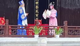 牡丹对药