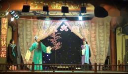 白桃花