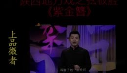 弦板腔《紫金簪》全本在线观看，乾县弦板腔经典戏曲资源下载