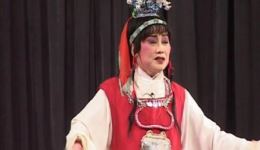 淮剧经典《宝玉哭灵》武丽娟深情演唱，红楼悲情戏曲选段在线下载