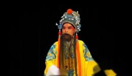评剧《打金枝》完整版下载 - 周连生宋丽主演经典戏曲资源