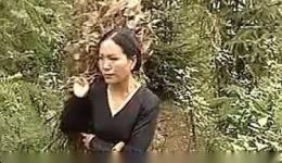 云南山歌剧《刺下的苦藤》全集下载 - 正版高清山歌剧资源