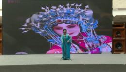 樱花恋