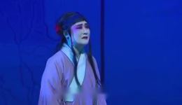 淮海戏《牙痕记》第1集在线观看 江苏省淮海剧团青春版高清资源下载