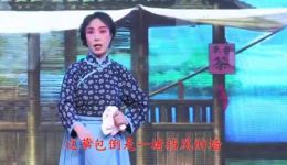沙家浜 智斗