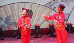 柳琴戏《拾棉花》在线观看与下载 - 经典鲁南地方戏曲资源 柳琴戏《拾棉花》在线观看与下载 - 经典鲁南地方戏曲资源