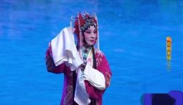 京剧《锁麟囊》选段迟小秋精彩演绎，经典唱段在线下载