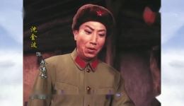 京剧《智取威虎山》精彩片段沈金波、施正泉经典演绎，革命剿匪故事在线下载