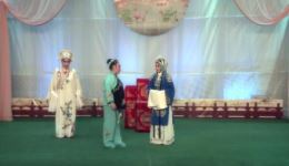 评剧《花为媒》小生贾俊英表演集锦下载，经典唱段全收录下载