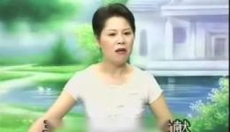 温州鼓词《凤鸾飞舞》第9集完整资源下载，经典曲艺在线畅听