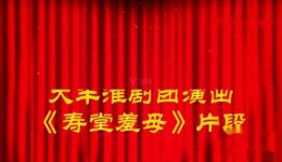 淮剧《天要下雨娘要嫁》大丰淮剧团精彩演出，经典淮剧剧目在线下载