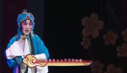 第二届山西艺术节晋剧《百家戏苑》在线观看,领略晋剧经典风采 第二届山西艺术节晋剧《百家戏苑》在线观看,领略晋剧经典风采